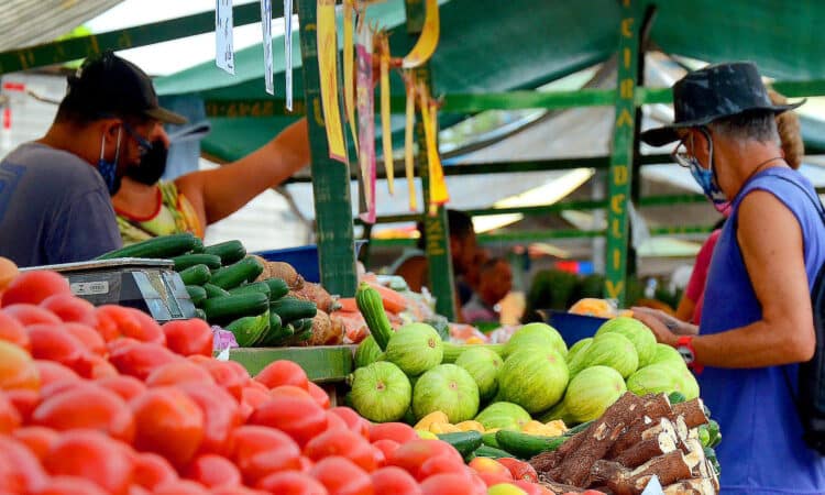 feira 1