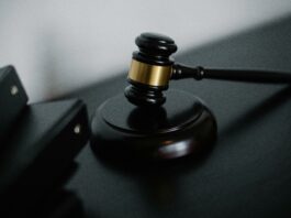 application pour vérifier les plaques d'immatriculation des véhicules